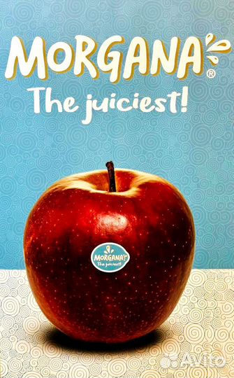 Саженцы яблокн Morgana