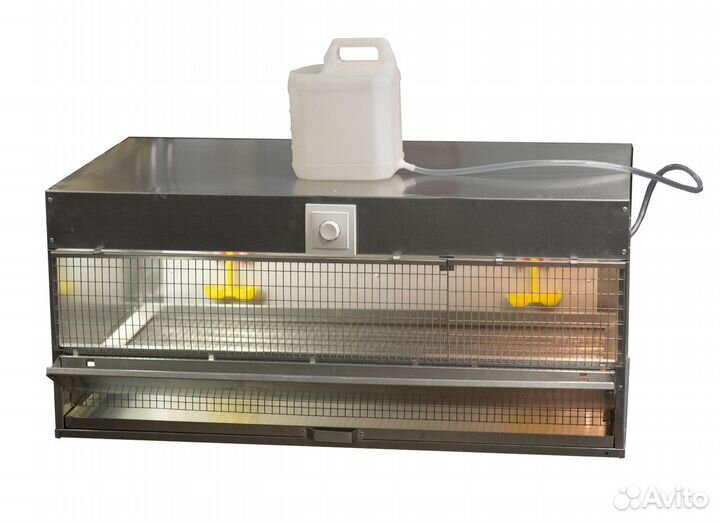 Брудер на 180 сут. цыплят