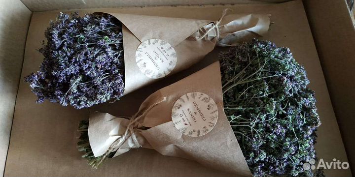 Сухоцвет душица лесная