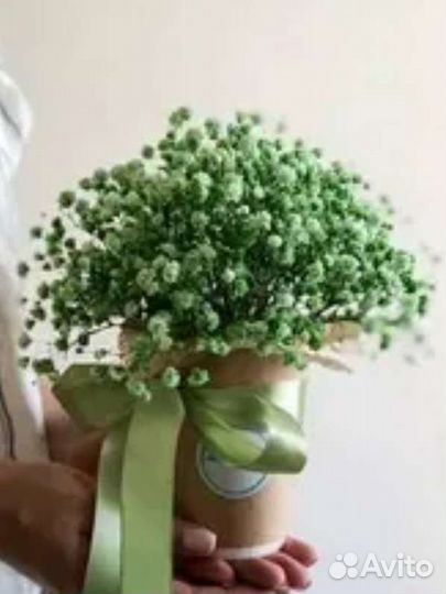 Букет из гипсофилы в коробке