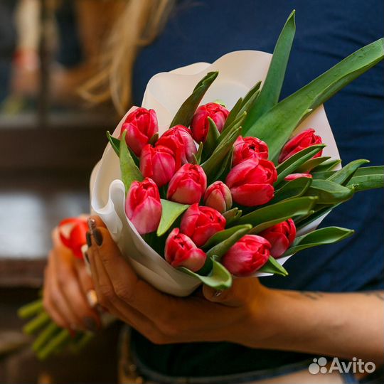 Букет из красных сортовых тюльпанов 27 шт