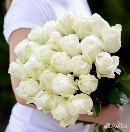 Метровые розы Доставка цветов