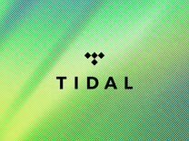 Tidal Hi Fi Plus / Пожизненно