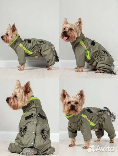 Костюм для собаки демисезонный