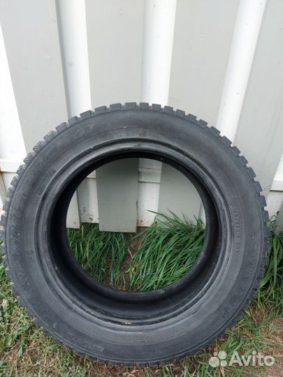 Dunlop SP Winter Ice 01 195/55 R15