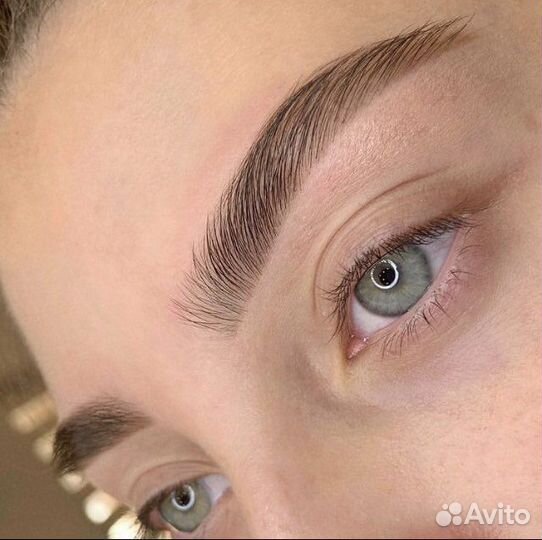 Курс Мастер-Бровист