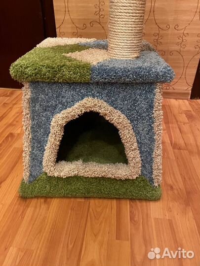 Кошачья когтеточка