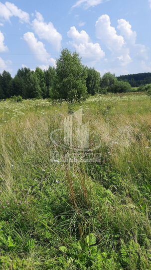 Участок 12 сот. (ИЖС)