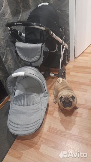 Коляска 2 в 1 adamex йерк