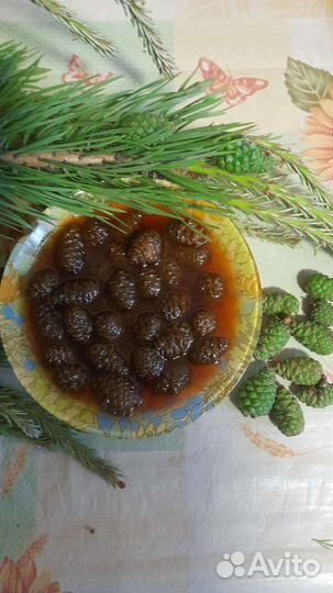 Варенье из молодых сосновых шишек