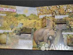 Книги с окошками картон для малышей