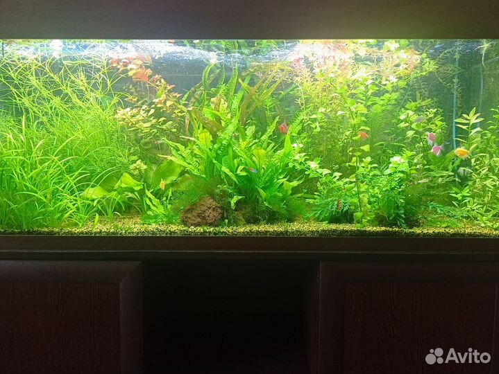 Украшение для аквариума