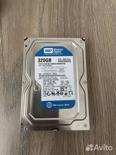 Жесткий диск WD Blue 320 гб