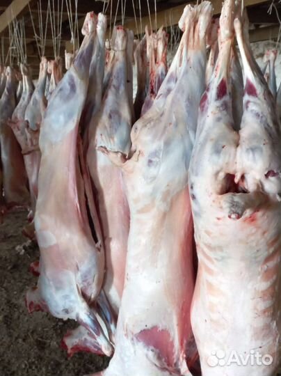 Мясо баранина