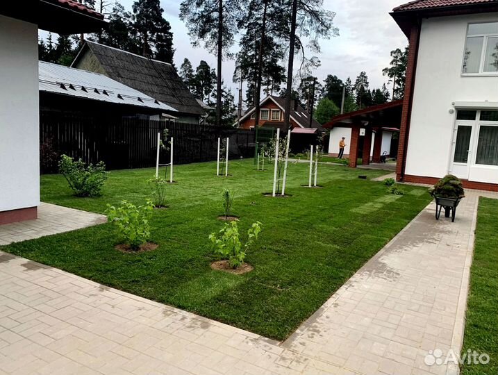 Рулонный газон 