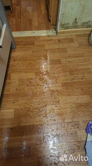 Дезинфекция Уничтожение обработка тараканов клопов