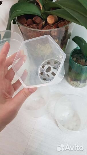 Дренажные кашпо для орхидей