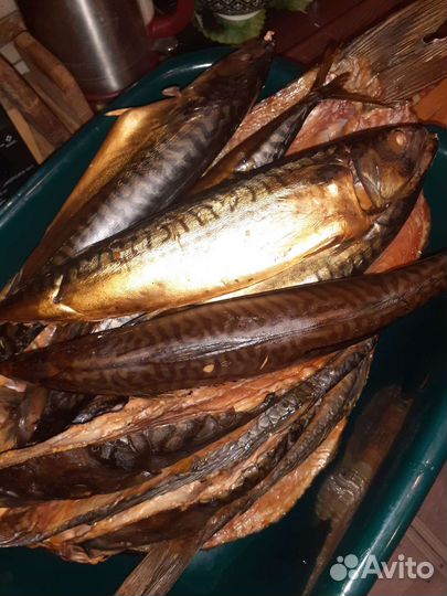 Копченая скумбрия