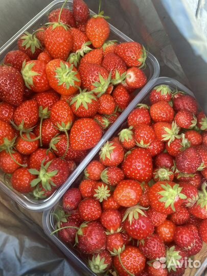 Ягоды, саженцы, огурцы, яйца