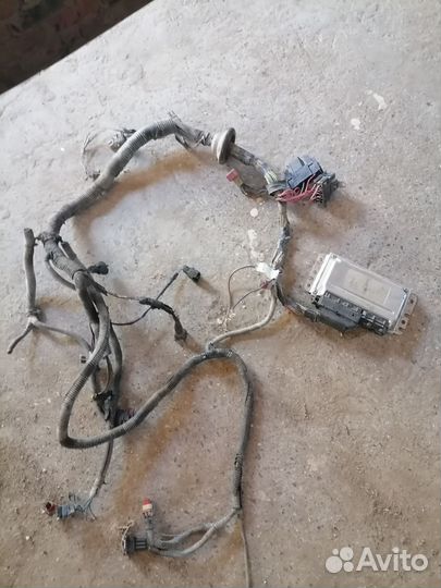 Проводка приора с мозгами 2008г