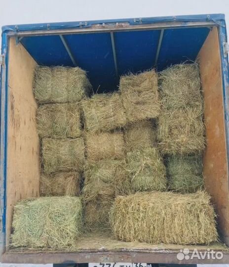 Луговое Сено