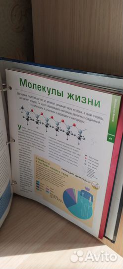 Галилео Наука опытным путем