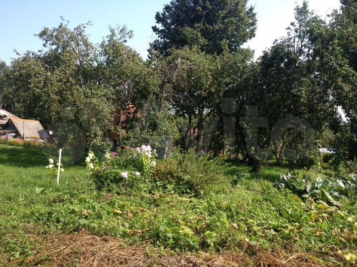 Участок 17,6 сот. (ИЖС)