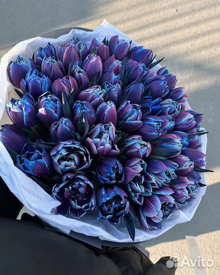 101 тюльпан синие тюльпаны с доставкой