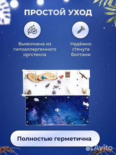 Муравьиная ферма Космос с муравьями