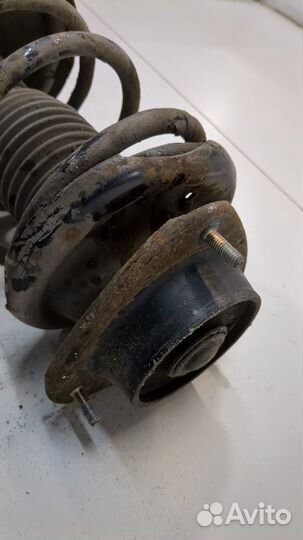 Амортизатор подвески правый передний Subaru Forester (S11)