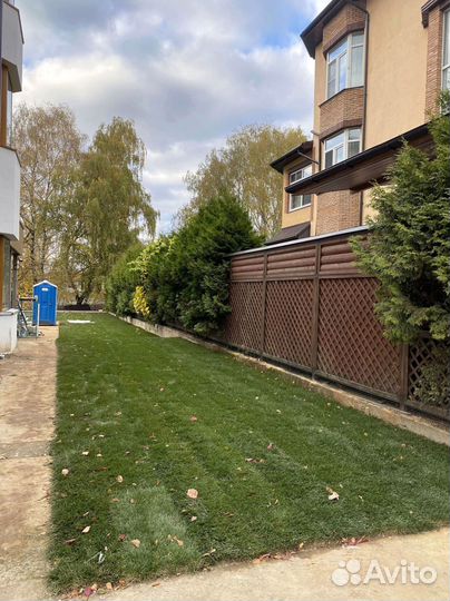 Рулонный газон с укладкой