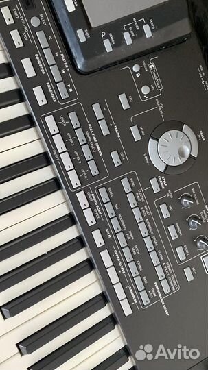 Синтезатор korg pa3xpro