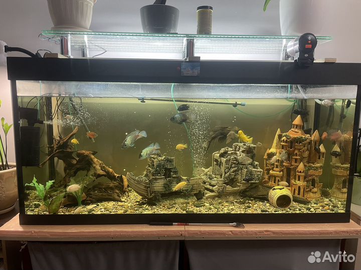 Аквариум