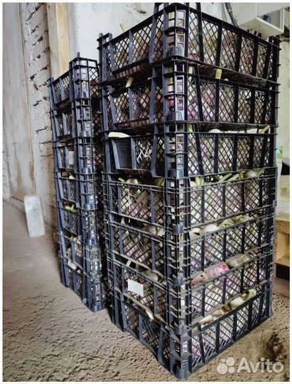 Пассивный доход до 50 процентов годовых