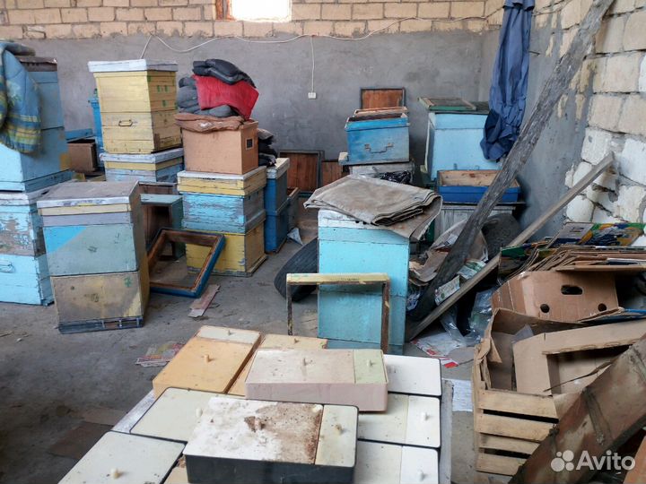 Улья дадан пчелы