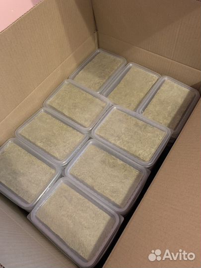 Набор для выращивания микрозелени