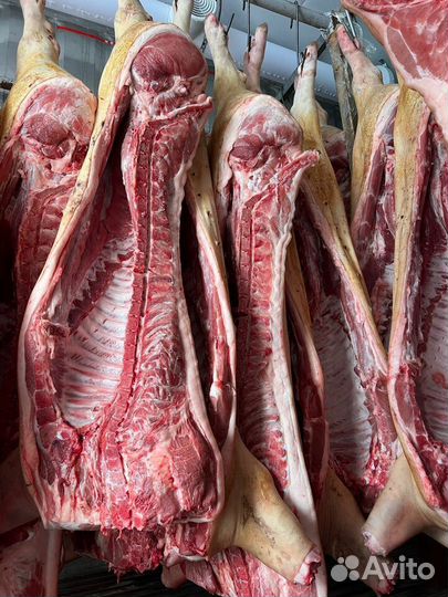 Мясо свинина