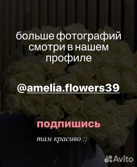 Метровые розы гиганты (100 см.)