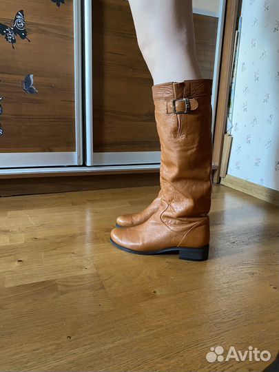 Сапоги осень весна женские