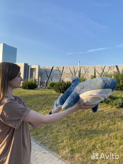 Акула мягкая игрушка