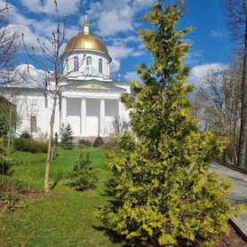 Индивидуальная экскурсия Печоры, Изборск из Пскова