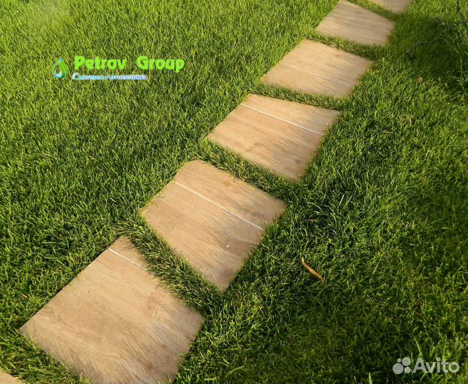 Газон рулонный элитный