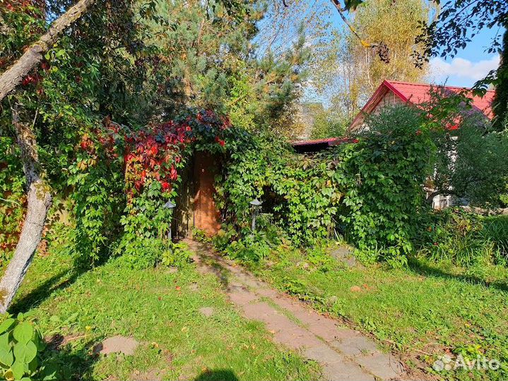 Девичий виноград