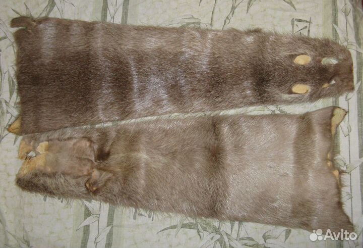 Шкурка нутрии, серебристая, светлый мех (2 шт)