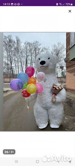 Ростовой медведь Панорамыч на Любой твой праздник