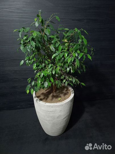 Вазон для цветов на 48 литров, авито доставка 39