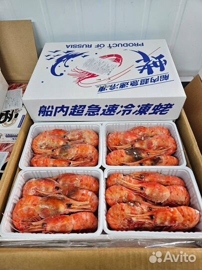 Креветка ботан