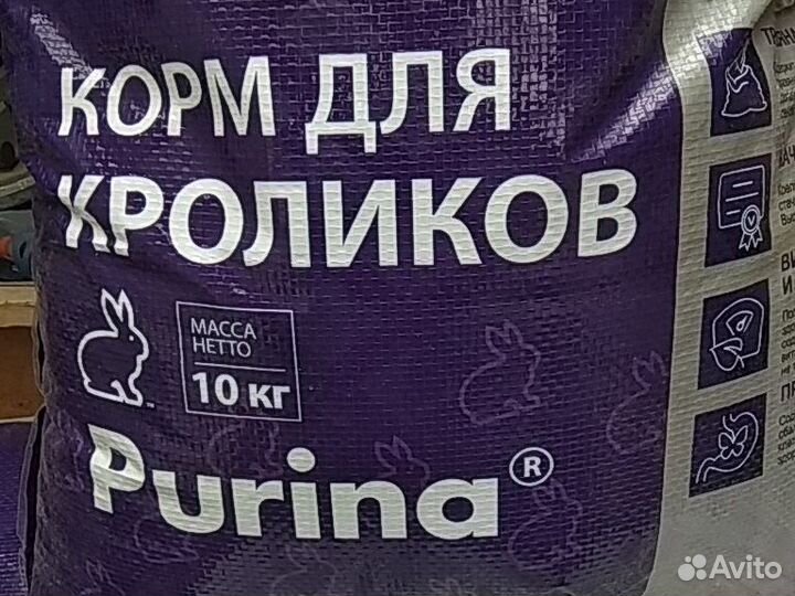 Лучший комбикорм для кроликов, морских свинок