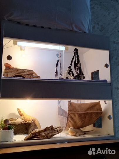 Террариумы для рептилий