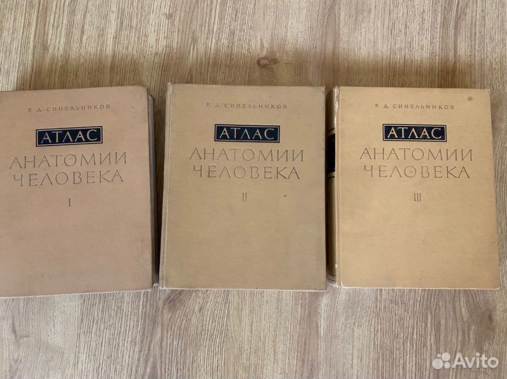 Атлас анатомии человека синельников